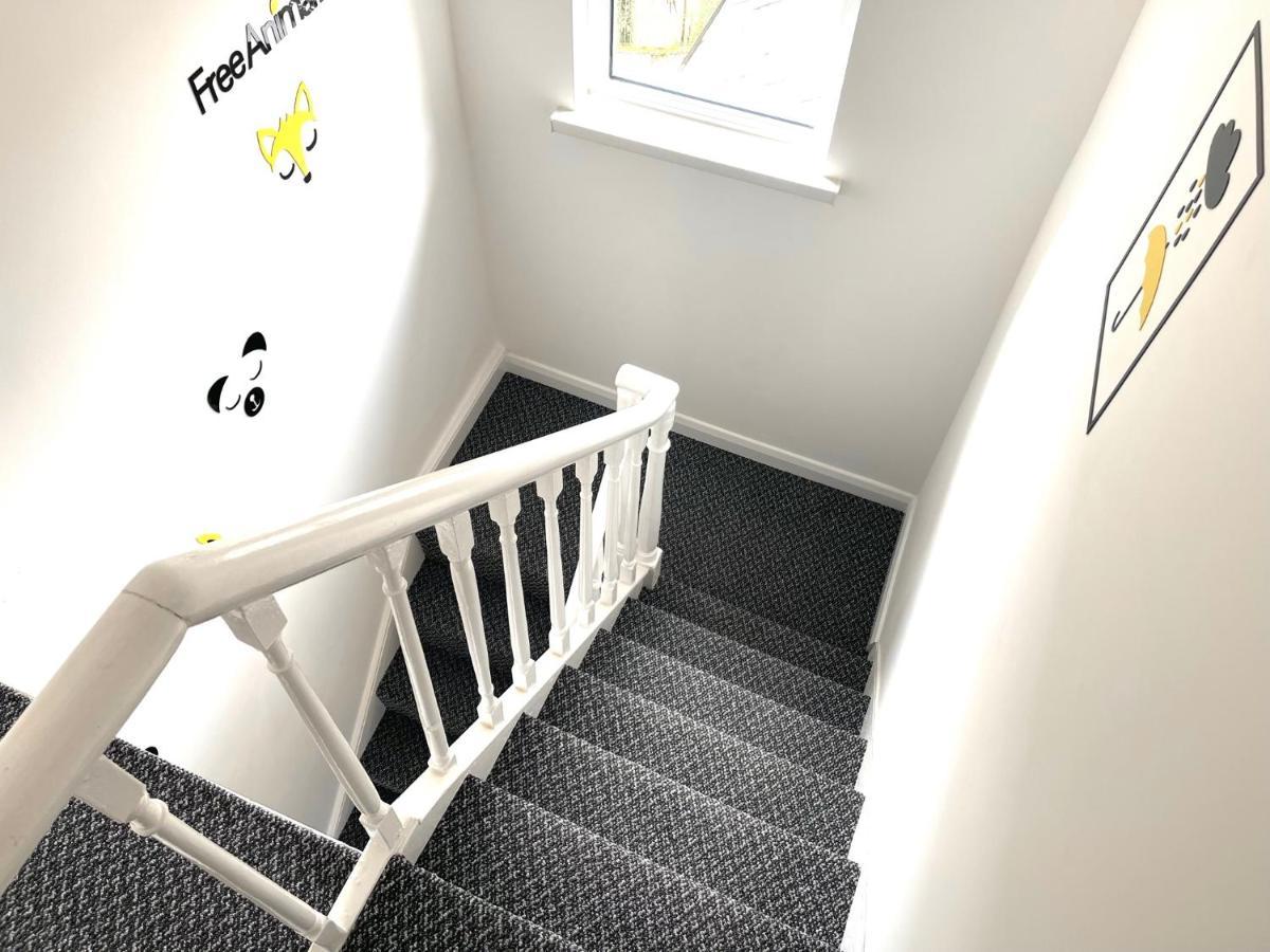 Entire Pinkapt - Free Parking - Up To 4 Guests - 3 Beds - Close To City Centre Belfast Exterior foto